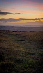 Preview wallpaper path, horizon, grasses, dusk