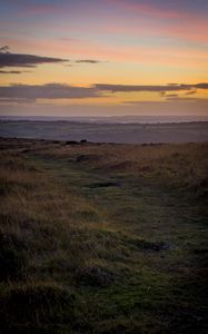 Preview wallpaper path, horizon, grasses, dusk
