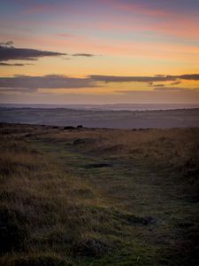 Preview wallpaper path, horizon, grasses, dusk