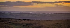 Preview wallpaper path, horizon, grasses, dusk