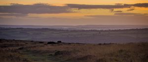 Preview wallpaper path, horizon, grasses, dusk