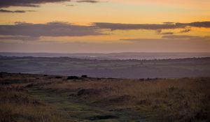 Preview wallpaper path, horizon, grasses, dusk