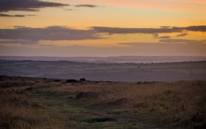 Preview wallpaper path, horizon, grasses, dusk