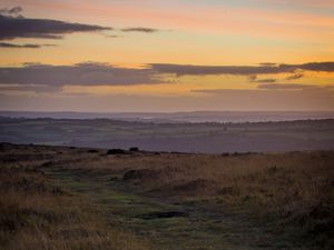 Preview wallpaper path, horizon, grasses, dusk