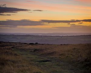 Preview wallpaper path, horizon, grasses, dusk