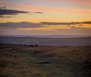 Preview wallpaper path, horizon, grasses, dusk