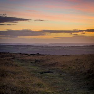 Preview wallpaper path, horizon, grasses, dusk