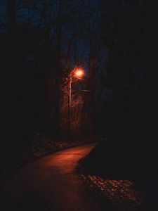 Preview wallpaper path, lantern, night, dark