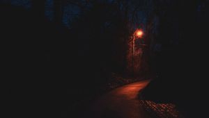 Preview wallpaper path, lantern, night, dark