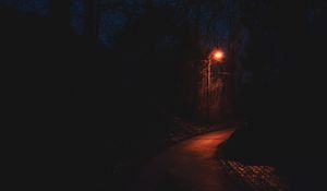 Preview wallpaper path, lantern, night, dark