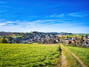 Preview wallpaper path, meadow, houses, nature, grass