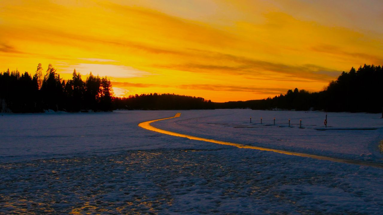 Wallpaper path, meadow, trees, snow, dark