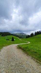 Preview wallpaper path, mountain, grass, trees, distance