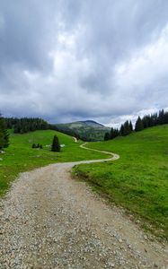 Preview wallpaper path, mountain, grass, trees, distance