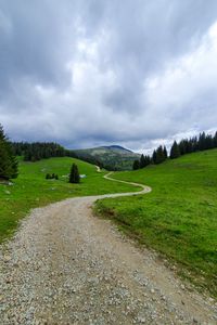 Preview wallpaper path, mountain, grass, trees, distance