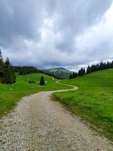 Preview wallpaper path, mountain, grass, trees, distance