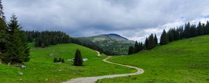 Preview wallpaper path, mountain, grass, trees, distance