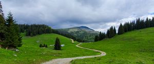 Preview wallpaper path, mountain, grass, trees, distance