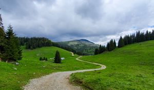 Preview wallpaper path, mountain, grass, trees, distance