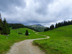 Preview wallpaper path, mountain, grass, trees, distance