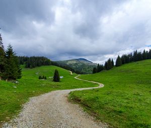 Preview wallpaper path, mountain, grass, trees, distance