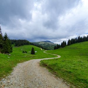 Preview wallpaper path, mountain, grass, trees, distance