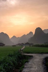 Preview wallpaper path, mountains, field, grass, sunrise