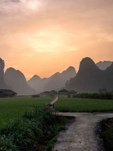 Preview wallpaper path, mountains, field, grass, sunrise