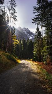 Preview wallpaper path, mountains, rays, trees, sun