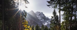 Preview wallpaper path, mountains, rays, trees, sun