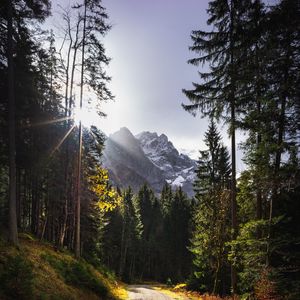 Preview wallpaper path, mountains, rays, trees, sun