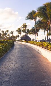 Preview wallpaper path, palm trees, tropics, summer