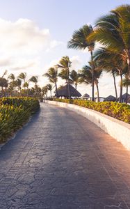 Preview wallpaper path, palm trees, tropics, summer