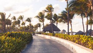 Preview wallpaper path, palm trees, tropics, summer