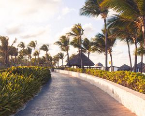 Preview wallpaper path, palm trees, tropics, summer