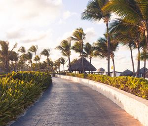 Preview wallpaper path, palm trees, tropics, summer