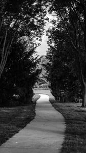 Preview wallpaper path, park, trees, bw