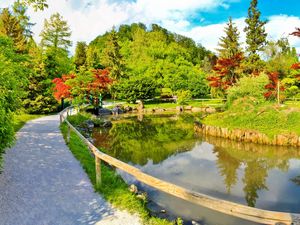 Preview wallpaper path, protection, garden, pond, brightly, summer