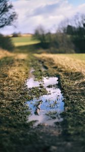 Preview wallpaper path, puddle, meadow, grass