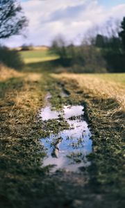 Preview wallpaper path, puddle, meadow, grass