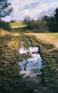 Preview wallpaper path, puddle, meadow, grass