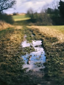 Preview wallpaper path, puddle, meadow, grass