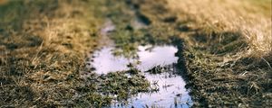 Preview wallpaper path, puddle, meadow, grass