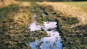 Preview wallpaper path, puddle, meadow, grass