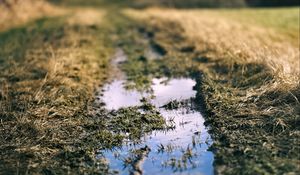 Preview wallpaper path, puddle, meadow, grass