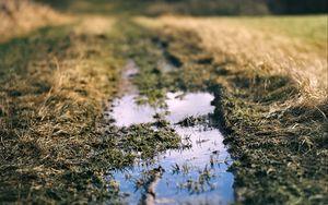 Preview wallpaper path, puddle, meadow, grass