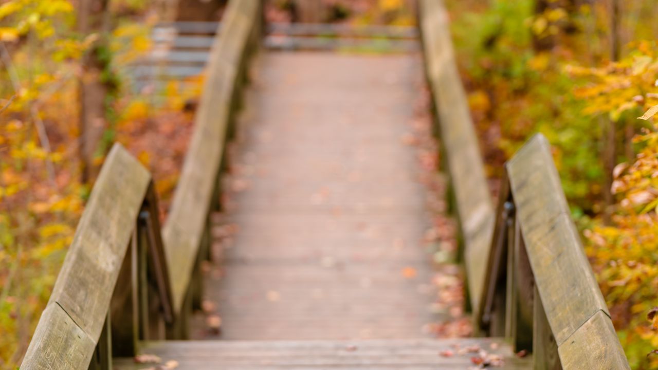 Wallpaper path, railings, autumn, fallen leaves