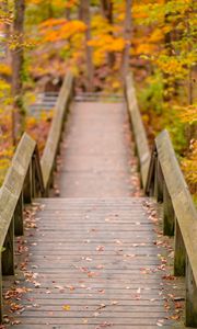 Preview wallpaper path, railings, autumn, fallen leaves