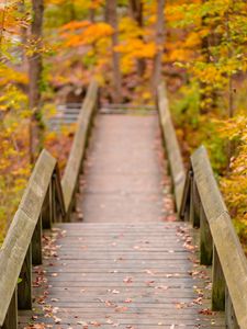 Preview wallpaper path, railings, autumn, fallen leaves