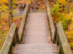 Preview wallpaper path, railings, autumn, fallen leaves